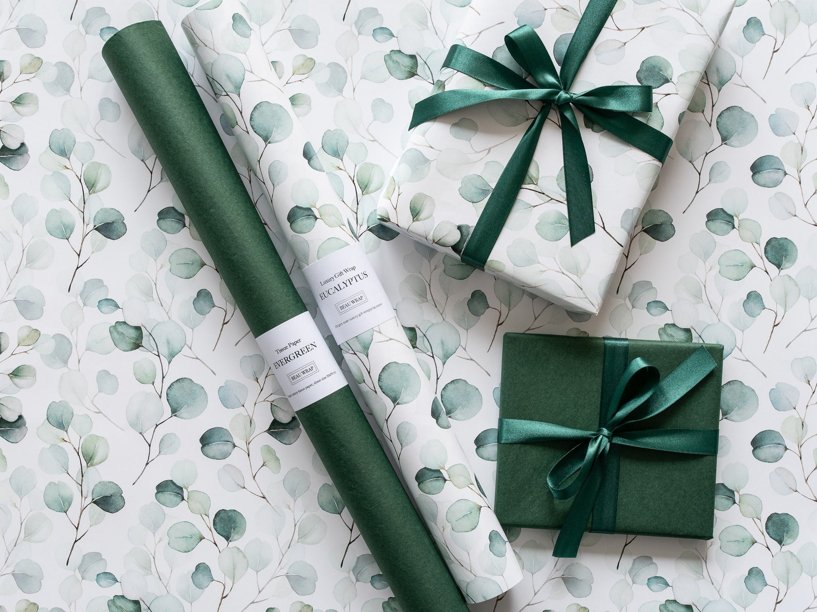 SET of Eucalyptus Gift Wrapping Paper & evergreen Etsy