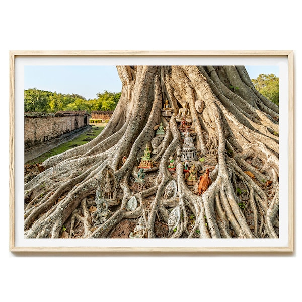 Heiliger Banyanbaum Fotodruck, Banyan Tree Kunstdruck, Thailand bilder, Buddhismus, Heiliger Baum, Fotografie, Wohnzimmer Wandbild