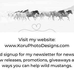 Wild Mustang Stallions Photo Print: Equine Wall Art image 5