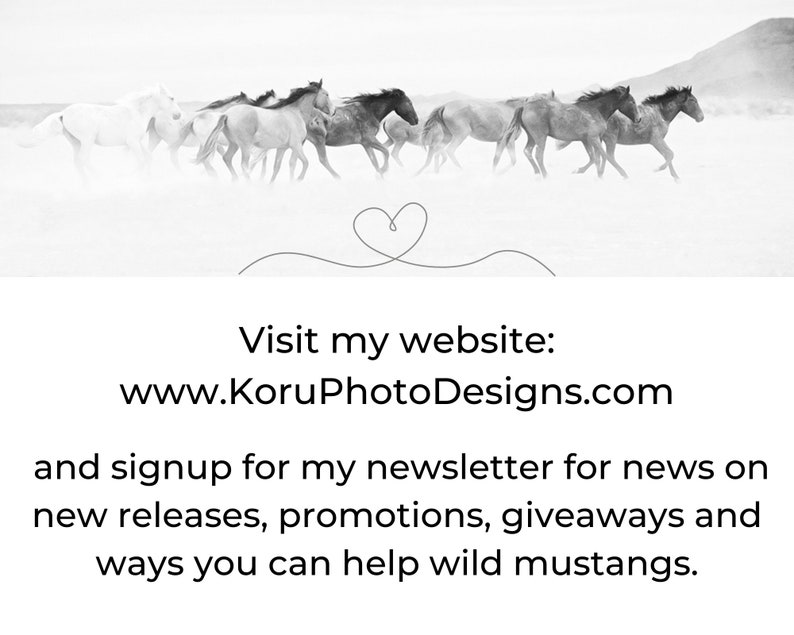 Wild Mustang Stallions Photo Print: Equine Wall Art image 5