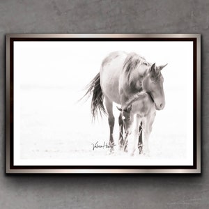 Wild Mustang Print - "Softness of Love"/Equine Photography/Wall Decor/Horse Photography/Equine Wall Art