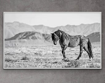 Stampa fotografica di un mustang selvaggio: "Cuore di un guerriero" Quadro/Stampa equina/Stallone