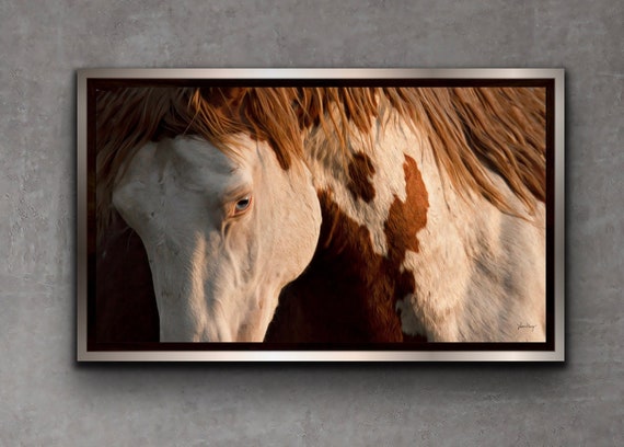 Wild Mustang Print: "Tempest" Equine Photo, Western Wall Art