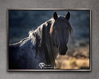 Wild Mustang "Rebel in Blue" Equine Photo Print