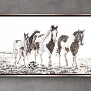 Wild Mustang Print - "Painted Wild" /Equine Photography/Wall Decor/Horse Photography/Equine Wall Art