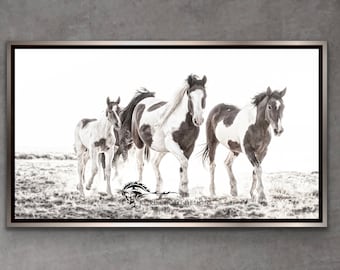 Wild Mustang Print: Equine Photography, Wyoming Wall Art