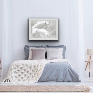 Pu&ograve; includere: Una fotografia in bianco e nero di un puledro bianco sdraiato in un campo. Il puledro guarda di lato e la sua criniera fluttua nel vento. La foto &egrave; incorniciata e appesa a un muro bianco in una camera da letto.