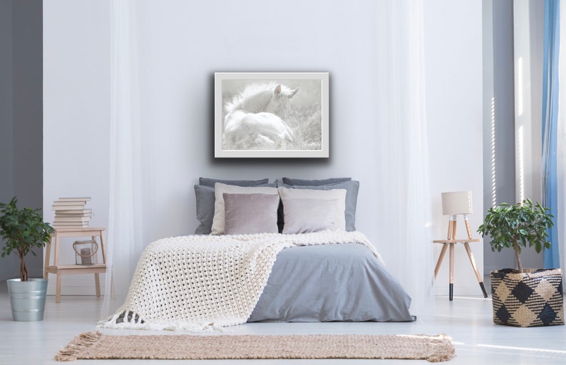 Pu&ograve; includere: Una fotografia in bianco e nero di un puledro bianco sdraiato in un campo. Il puledro guarda di lato e la sua criniera fluttua nel vento. La foto &egrave; incorniciata e appesa a un muro bianco in una camera da letto.