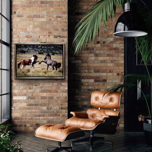 Wild Mustang Stallions Photo Print: Equine Wall Art image 2