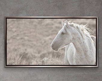 ワイルド・ムスタング・ファインアートプリント：馬の写真