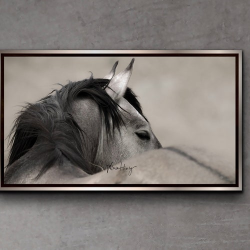 Horse Photography Horse Art - Etsy