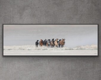 Wild Mustang Photo Print: "Born Wild" Equine Wall Art