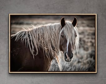 Dziki Mustang, wydruk: „Letni blask” – zdjęcie konia, sztuka ścienna