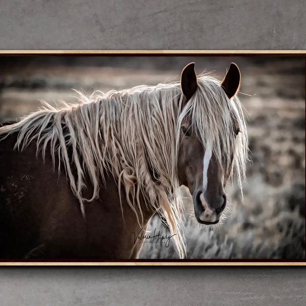 Wild Mustang Print - "Summer Shimmer"/Equine Photography/Wall Decor/Horse Photography/Equine Wall Art