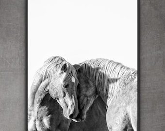 Wild Mustang Photography Print: "Harmony is Silence" Equine Wall Art/Print/Stallions