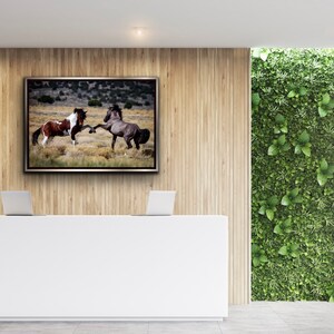 Wild Mustang Stallions Photo Print: Equine Wall Art image 3