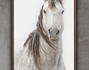 Wild Mustang Photo Print: Equine Wall Art