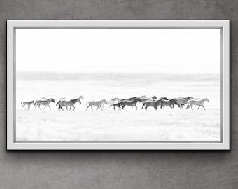 Wild Mustang Photography Print: Equine Wall Art, "Heartbeats"