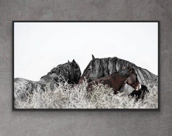 Wild Mustang Photography Print: "Woven Breath" Equine Wall Art/Print/family
