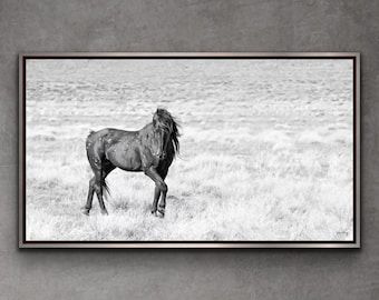Wild Mustang Photography Print: "Defiance" Equine Wall Art