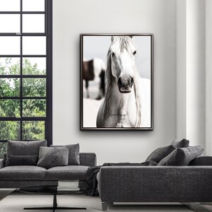 K&ouml;nnte beinhalten: Ein Schwarzwei&szlig;foto eines wei&szlig;en Pferdes mit langer M&auml;hne und langem Schweif. Das Pferd blickt direkt in die Kamera. Der Hintergrund ist verschwommen und unscharf.