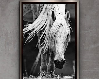 Wild Mustang Print - "Legends" /Equine Photography/Wall Decor/Horse Photography/Equine Wall Art