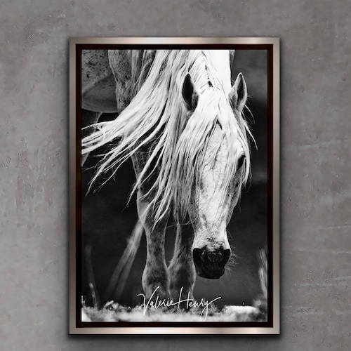 Horse Photography Horse Art Etsy