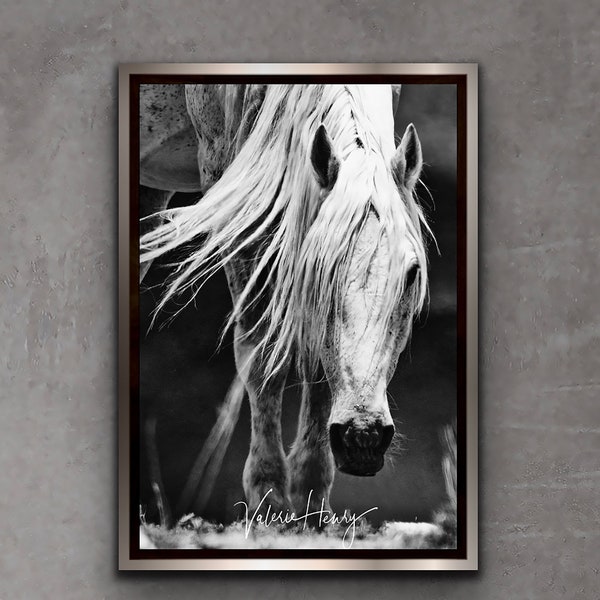 Wild Mustang Print - "Legends" /Equine Photography/Wall Decor/Horse Photography/Equine Wall Art