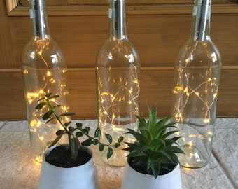 May include: Three clear glass bottles with string lights inside, each bottle is placed in a white ceramic planter with a small green plant.