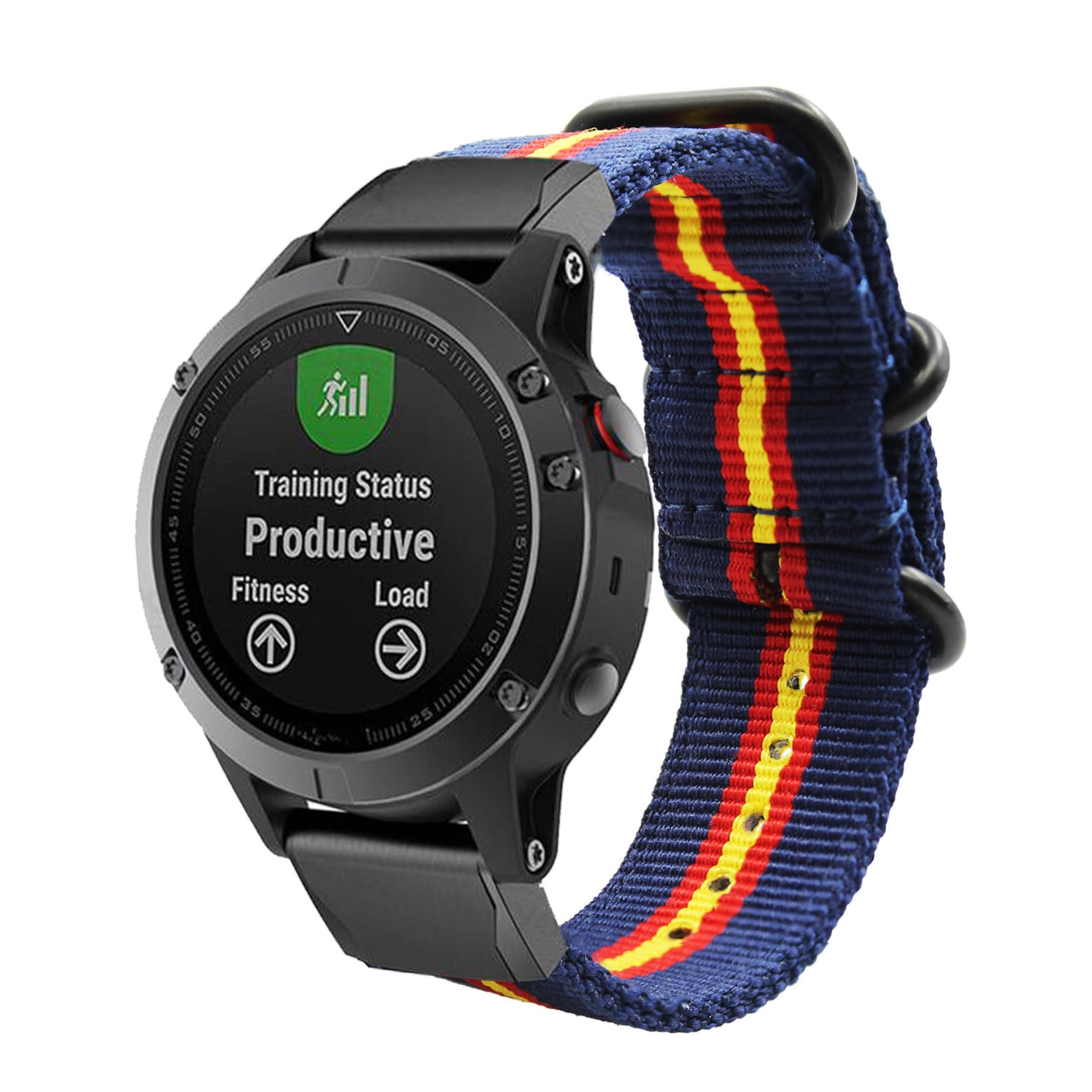 fenix 6x plus