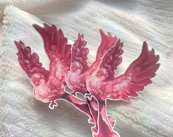 Bird of paradise - Pink shade