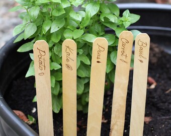 May include: A black plastic pot with five wooden plant markers labeled "Basil", "Carrot", "Peas", "Kale", and "Potato". The pot is filled with soil and a green leafy plant is growing in the center.