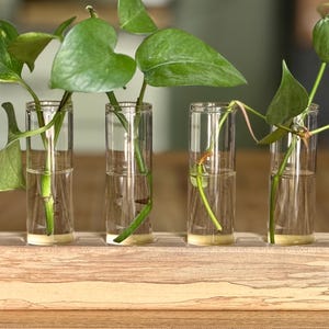 Propagation Station