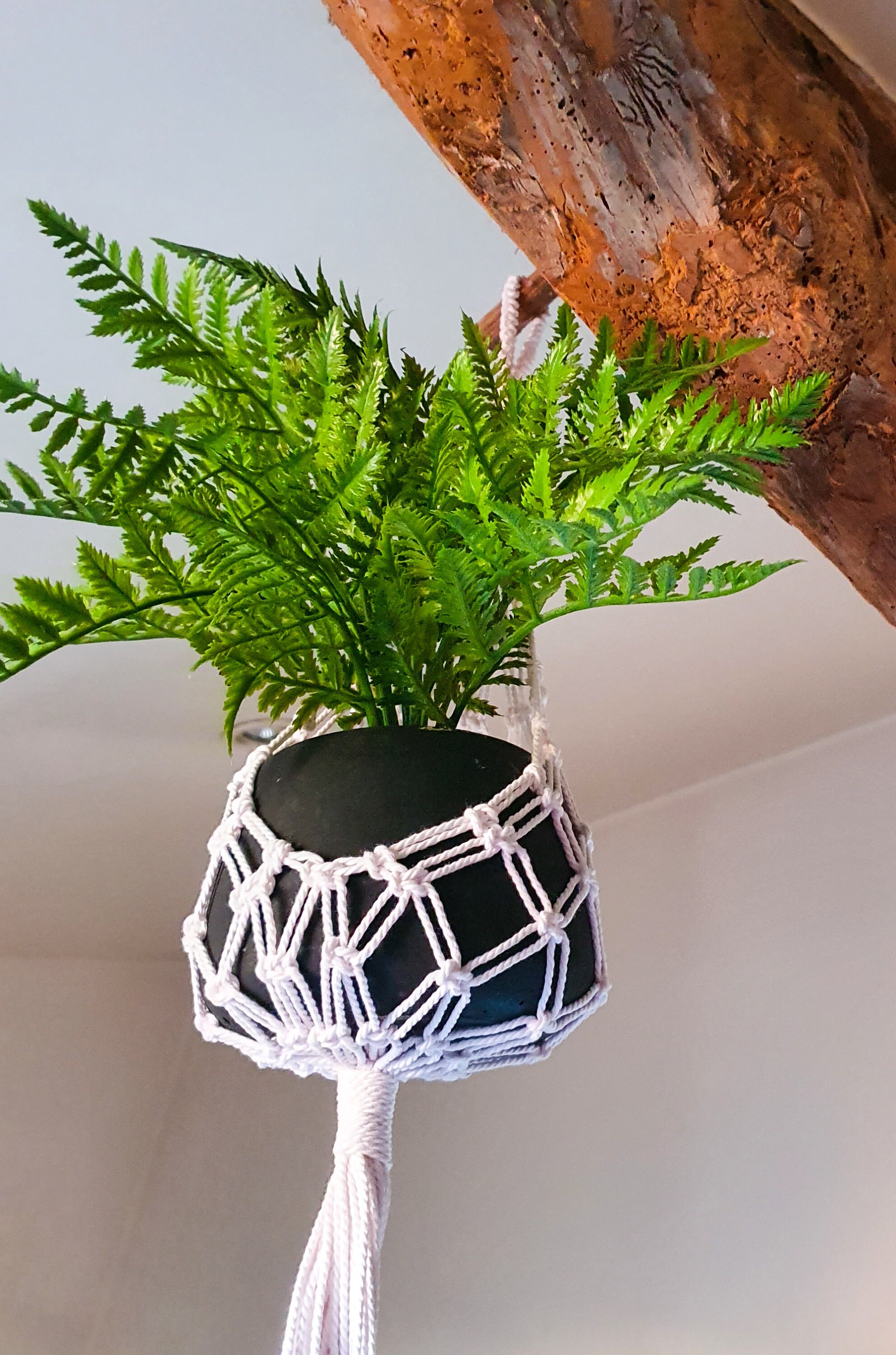 Suspension Macramé Pour Plante