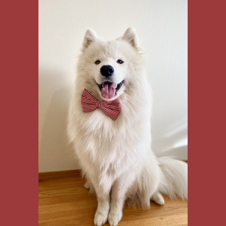 Classic Red and White Stripes Dog Collar Bow Tie Handmade Dog Collar Bow Tie Christmas Red Dog Bow Tie image 7