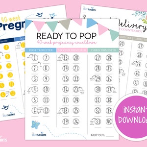 Schwangerschafts-Countdown-Poster, neue Mutter-Countdown, sofortiger Download, druckbare PDF-Datei, Geburts-Countdown, Trimester-Planer, digitaler Download