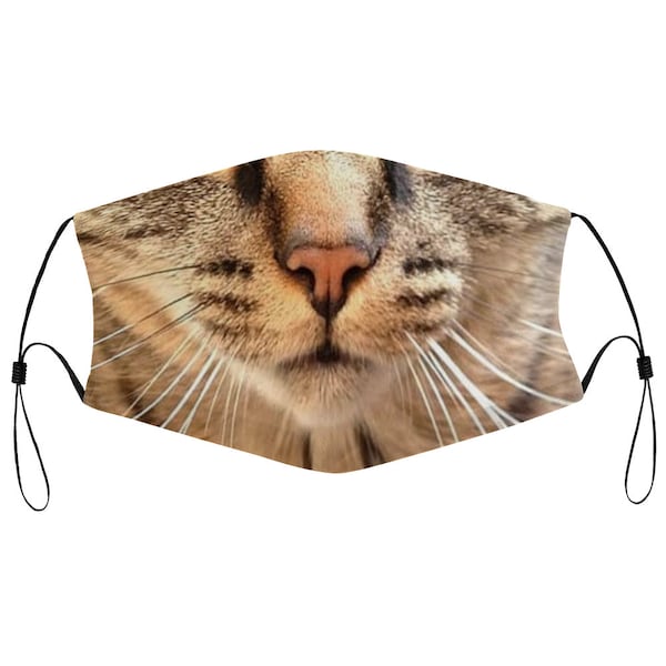 Brown Tabby Cat Kitty Feline Cloth Face Mask - 2 Replaceable Filters Dust Proof Covering Nose Wire Splint Soft Breathable Washable Polyester