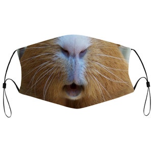Guinea Pig Mouth Rodent Cloth Face Mask with 2 Replaceable Filters Dust Proof Covering Nose Wire Splint Soft Breathable Washable Polyester