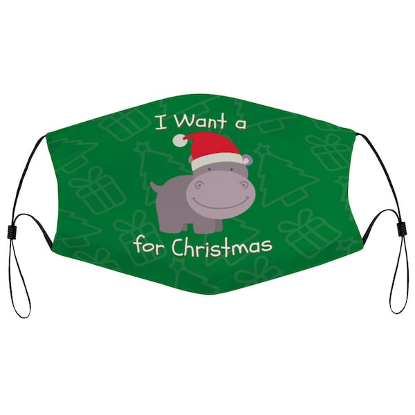 Je veux un Hippopotame pour Noël Vacances Song Carol Cloth Face Mask 2 Filtres remplaçables Dust Proof Couvrant Nez Fil Attelle Respirable