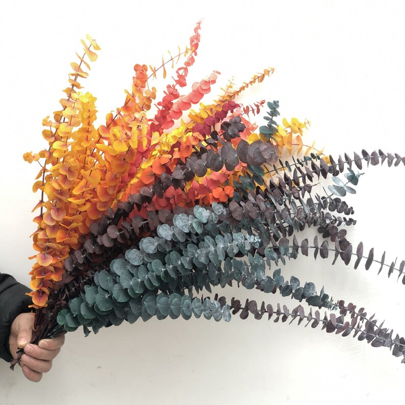 Preserved Eucalyptus Branches 20inch 10Pcs Dried Eucalyptus Etsy
