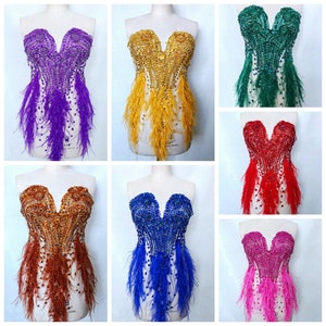 Bodice Rhinestone Bodice Applique Beaded Ostrich Feather Trims Stitch Patch for Costume Ballgown Evening Dress 1 Piece