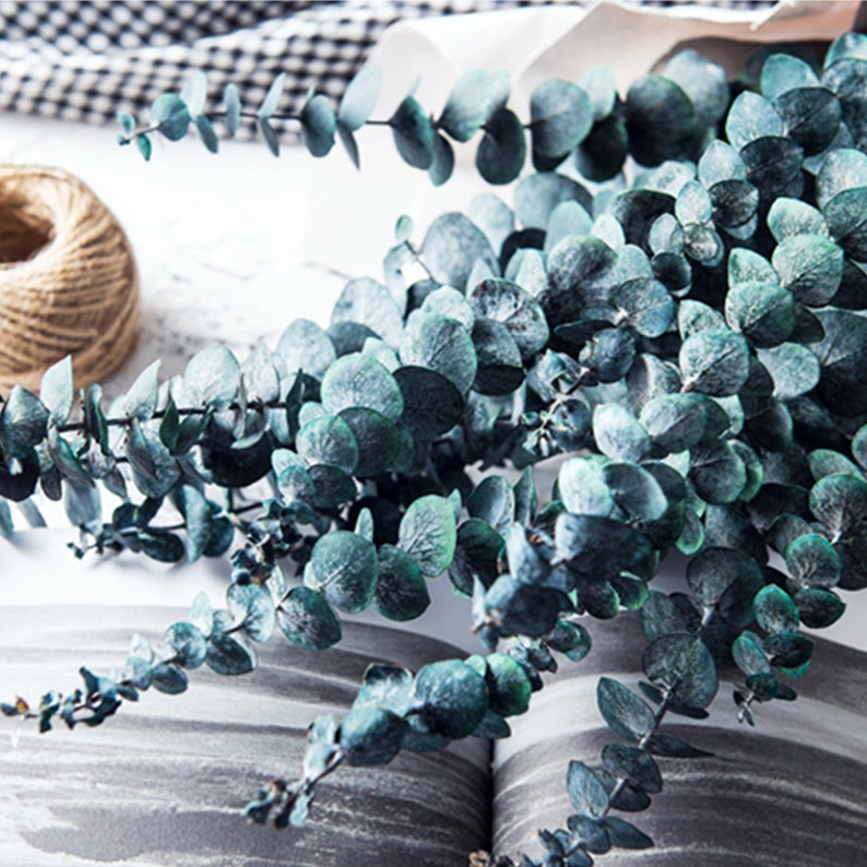 Natural Dried Flowers Eucalyptus Branches 10Pcs Dried Etsy