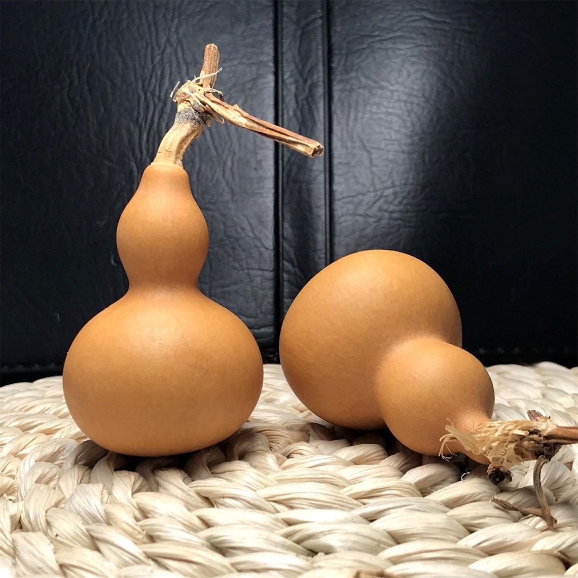 Natural Random Dry Gourd Crafts Arts Collection Mini Bottle Etsy