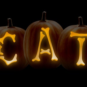 May include: Three orange pumpkins carved with the word "CAT" in a bone-shaped font. The pumpkins are lit from inside, creating a warm glow.
