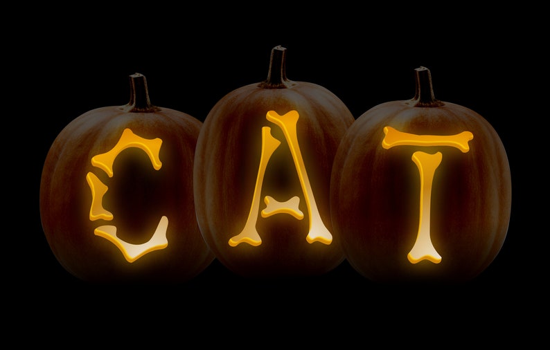 May include: Three orange pumpkins carved with the word "CAT" in a bone-shaped font. The pumpkins are lit from inside, creating a warm glow.