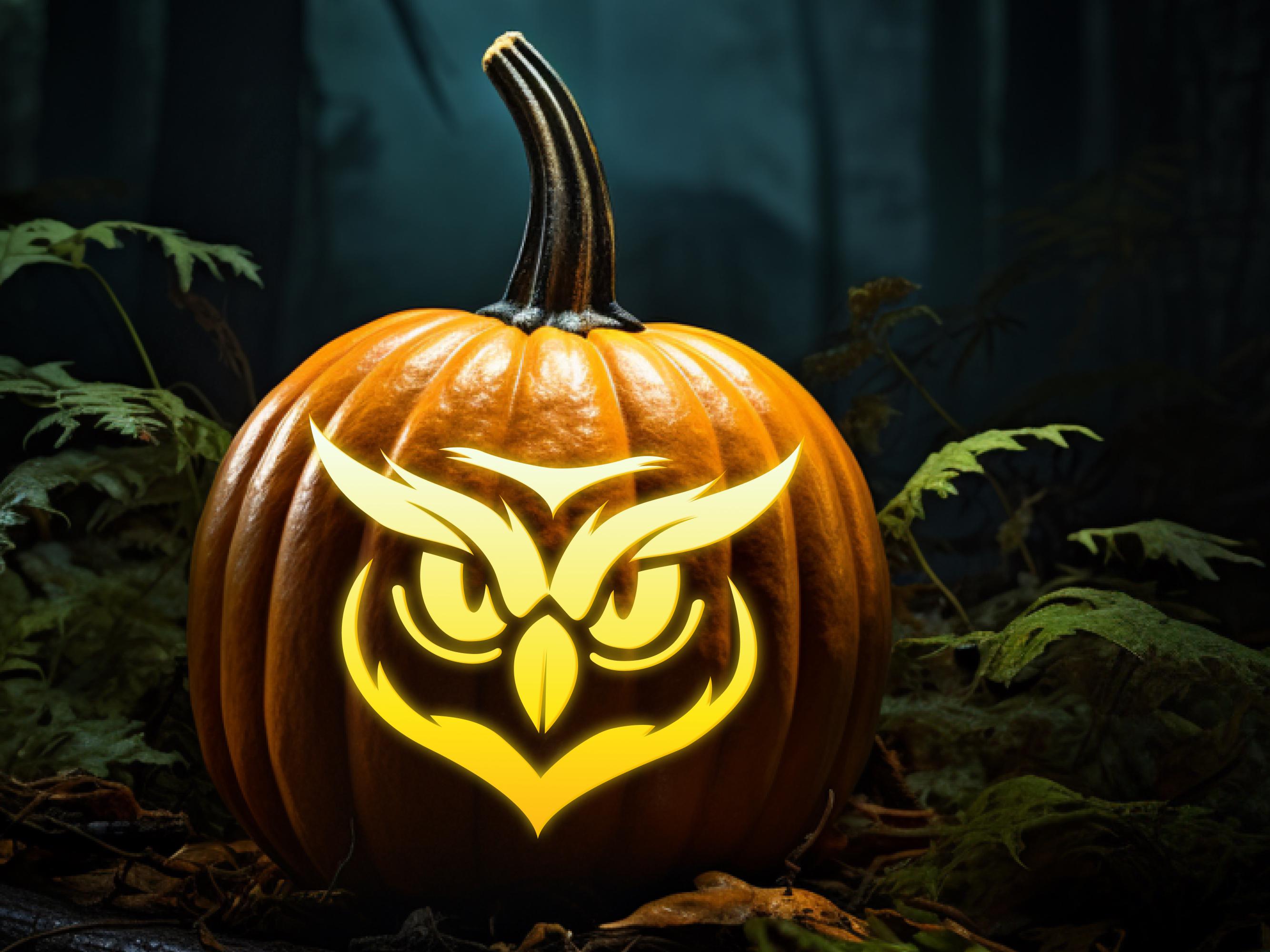 Zerodeko Chouette Tête De Citrouille En Plein Air Ornement De