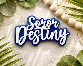 Soror Zeta Namens-Anstecknadel | Zeta Phi Beta Soror Geschenk | Zeta Namens-Anstecknadel | Blau-weißes Geschenk | Soror Abzeichen | FINER Womanhood | Geschenk zur Testamentseröffnung