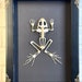 see more listings in the Skeletons section