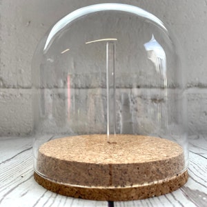 Cúpula de cristal transparente Cloche, para cubrir plantas y decoraciones,  cúpula de exhibición para velas de postre (6 x 7 pulgadas)