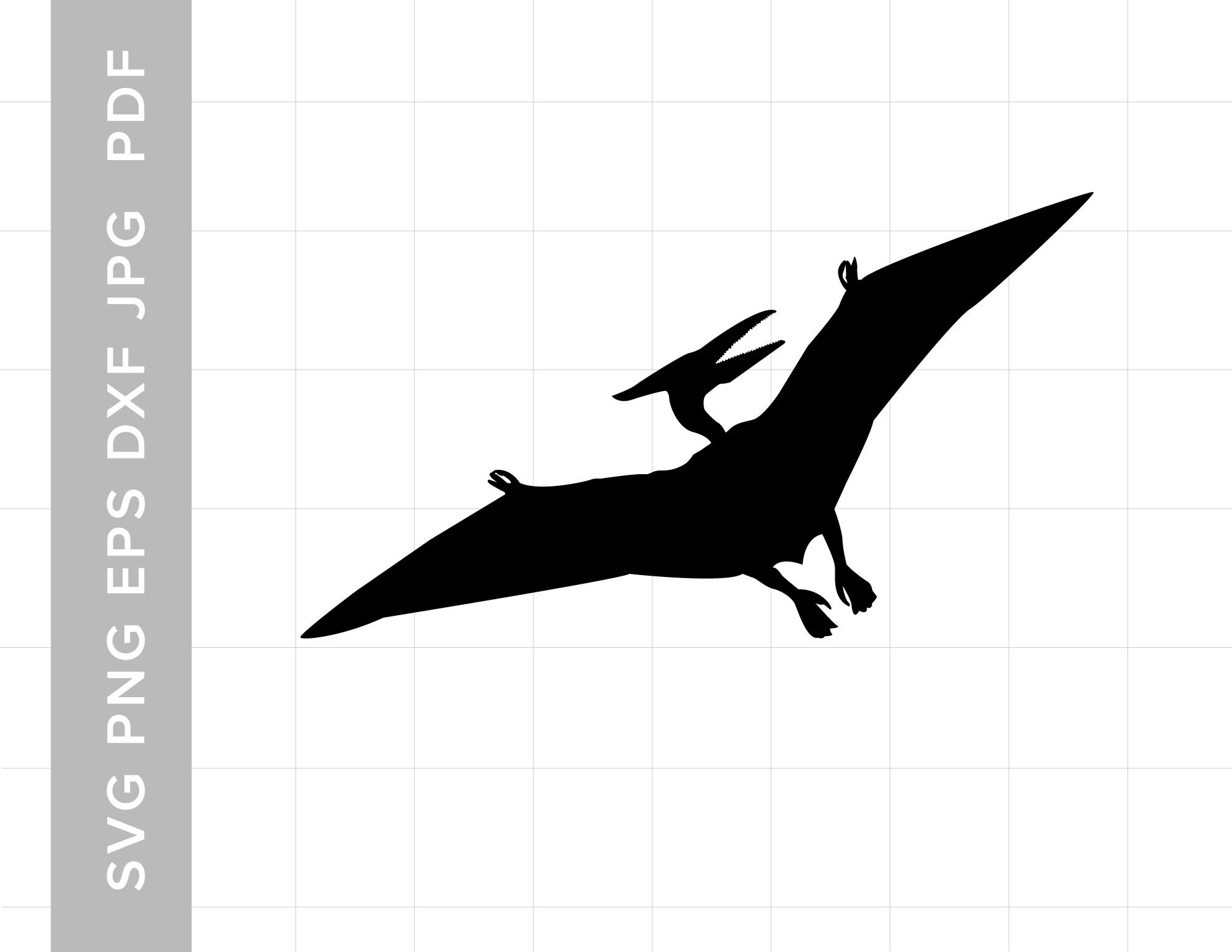 Pteranodon/pterodactyl Dinosaur SVG PNG JPG Clipart (Download Now) 